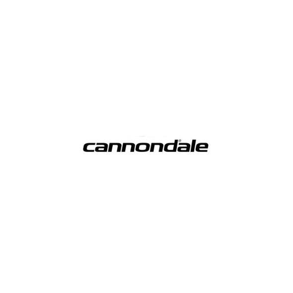 Växelöra Cannondale QR ST SS031
