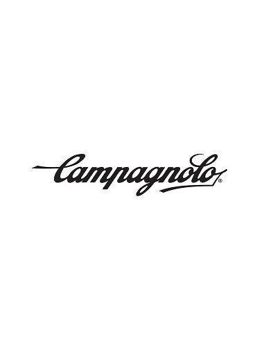 CAMPAGNOLO KLINGA 50x34 10s Silver