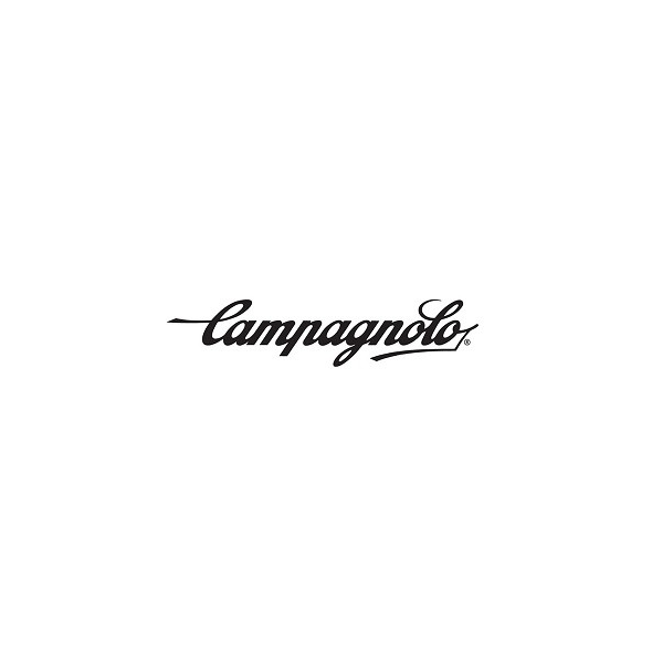 CAMPAGNOLO KLINGA 34 11s Mörk Grå 8mm