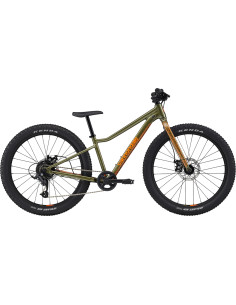 Cykel Cannondale Kids Trail Plus 24, Mantis