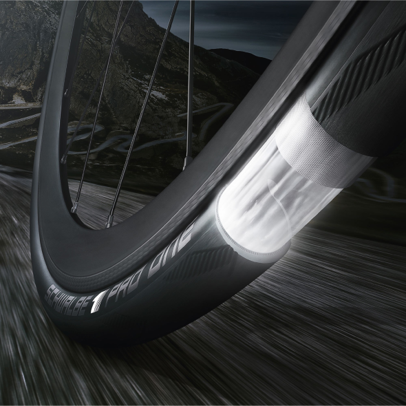 Schwalbe Pro One