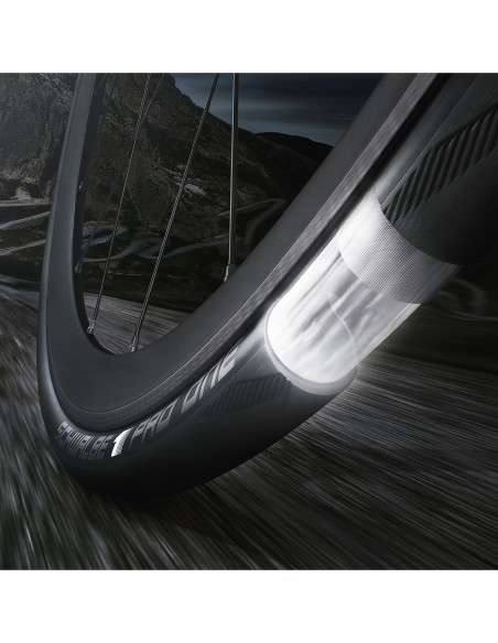 Schwalbe Pro One